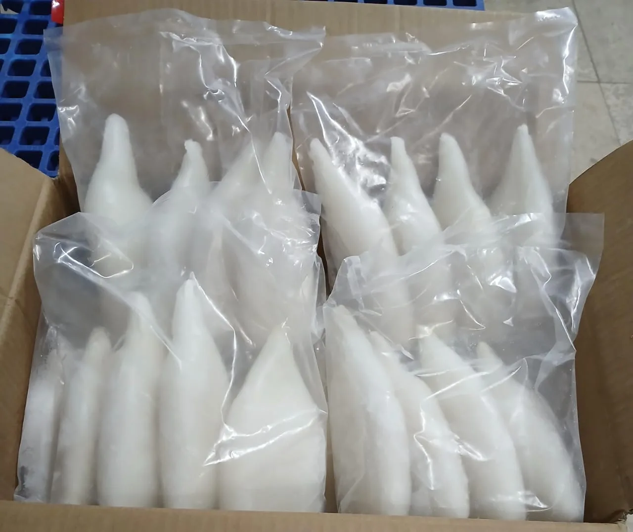 SQUID TUBE 1000 GR
